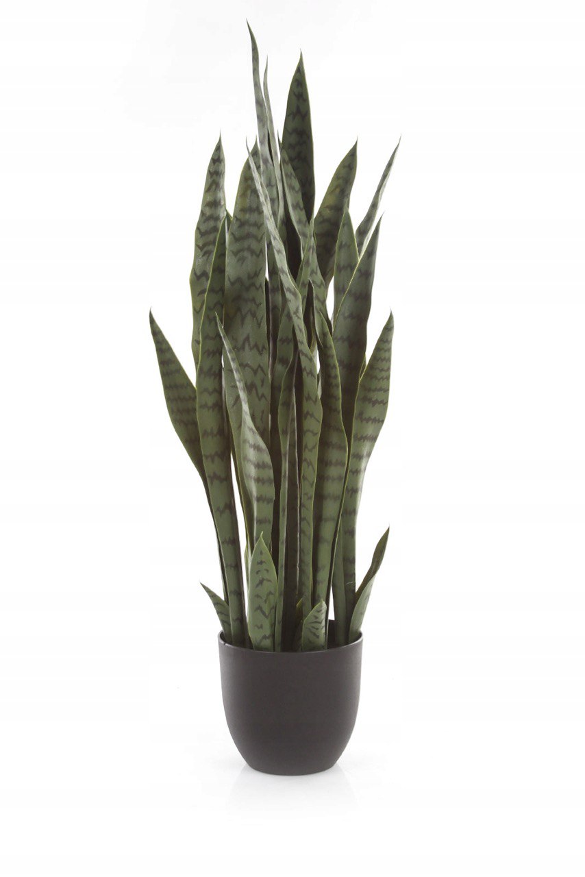 Artificial Snake Plant Fake Sansevieria in Pot Lifelike Faux Plant Mot –  AreaDeco
