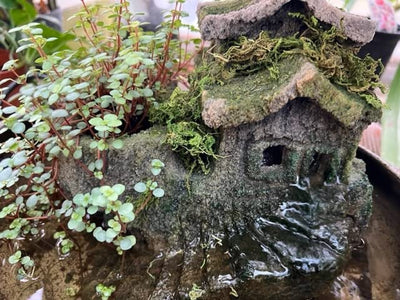 Fake Moss for Potted Plants Artificial Moss Green Moss Plants Filler Fairy Garden Decorative Moss for Craft and Home Decor