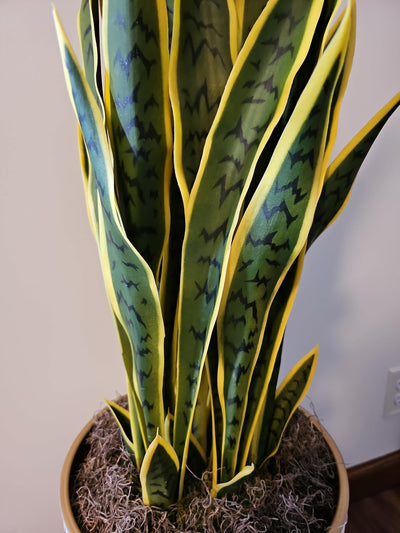 3 FT Artificial Snake Plant Fake Sansevieria in Pot Lifelike Faux Plant Mother in Law Tongue Plant Indoor Decoration Home Decor, Yellow