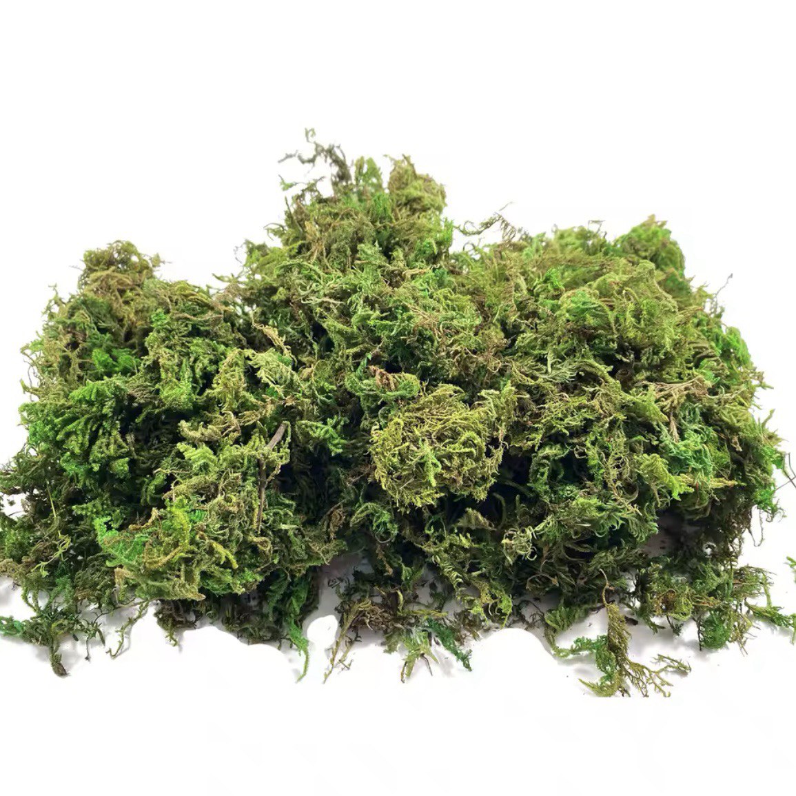 Fake Moss for Potted Plants Artificial Moss Green Moss Plants Filler Fairy Garden Decorative Moss for Craft and Home Decor