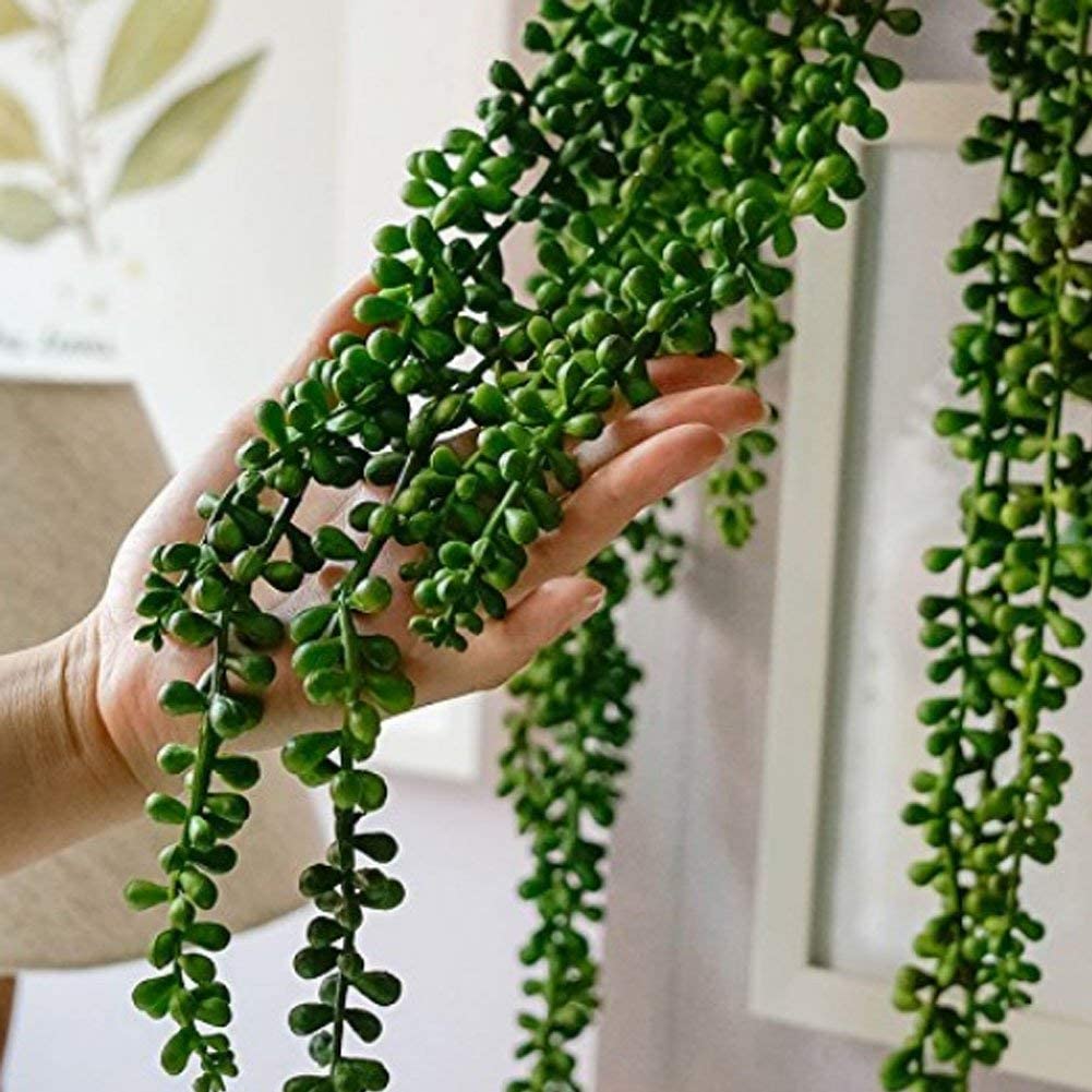 hanging fake succulent plants 3 Pack Artificial Succulent Plants Hanging String – AreaDeco