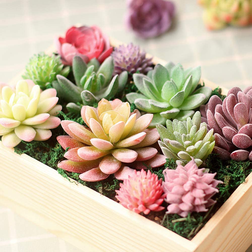 17 Pack Artificial Succulent Flocking Plants