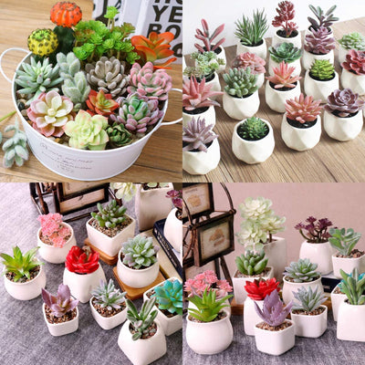 17 Pack Artificial Succulent Flocking Plants