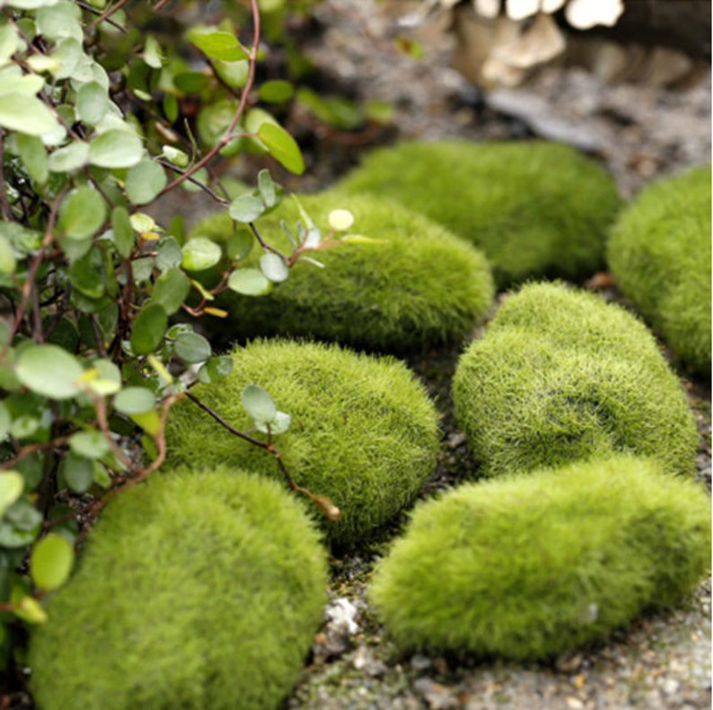 30pcs Artificial Moss Rocks Decorative Faux Green Moss Covered Stones Fake Greenery Home Garden Yard Decoration