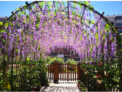 12x 3.6Ft Artificial Purple Wisteria Garland Fake Wisteria Vines Silk Flowers Wedding Arch Decor Home Garden Party Decorations